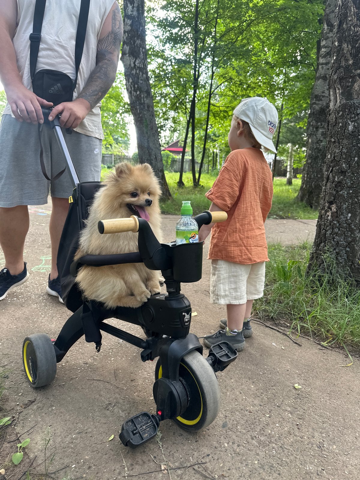 Family park visit with stroller dog in Votkinsk