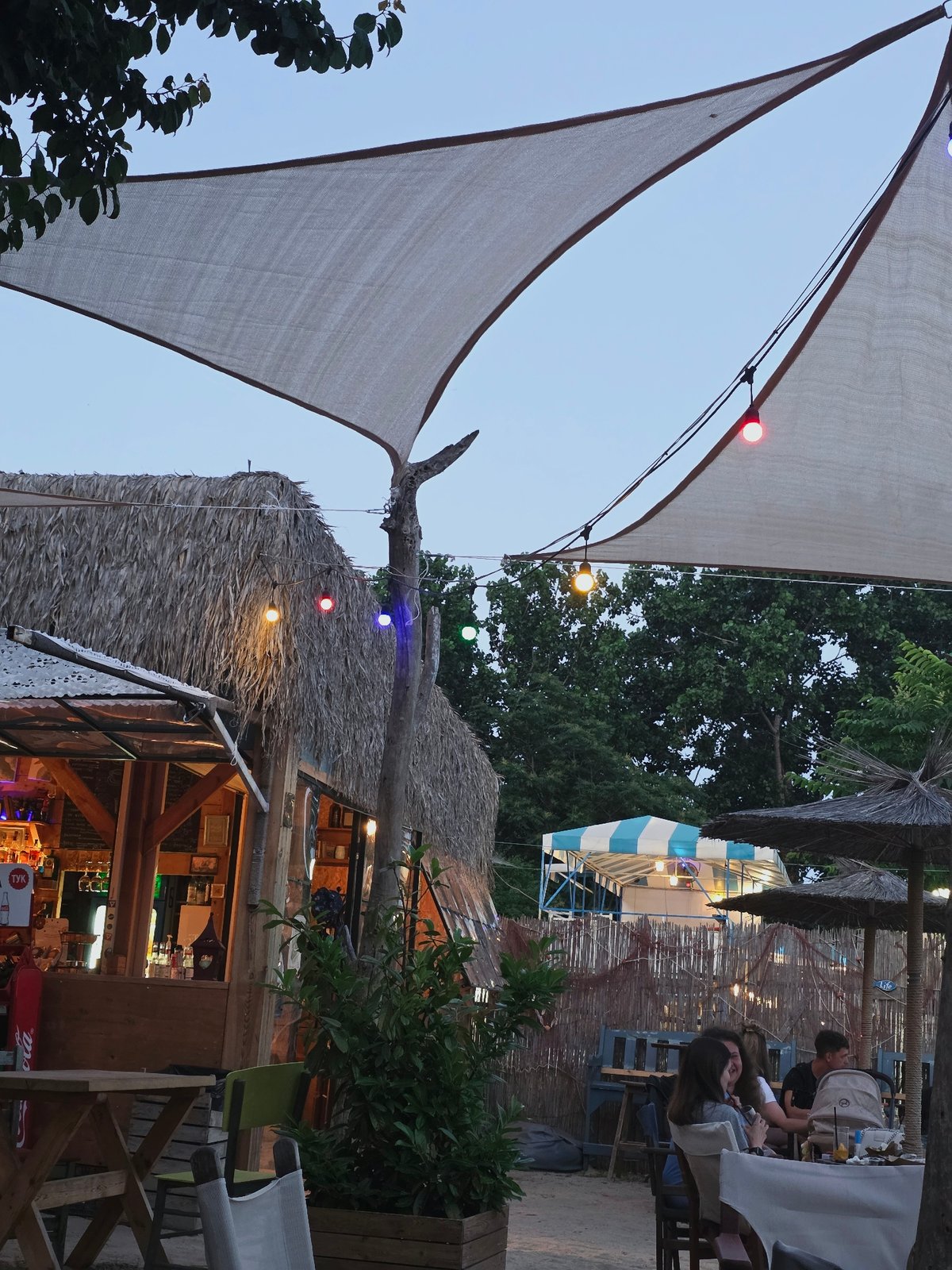 Summer night on Varna's Black Sea waterfront, cats and all