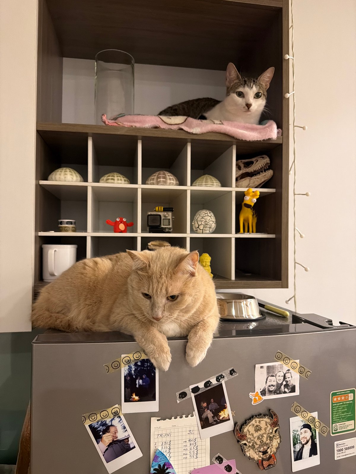 Daily life moments captured in Vietnamese household over afternoon