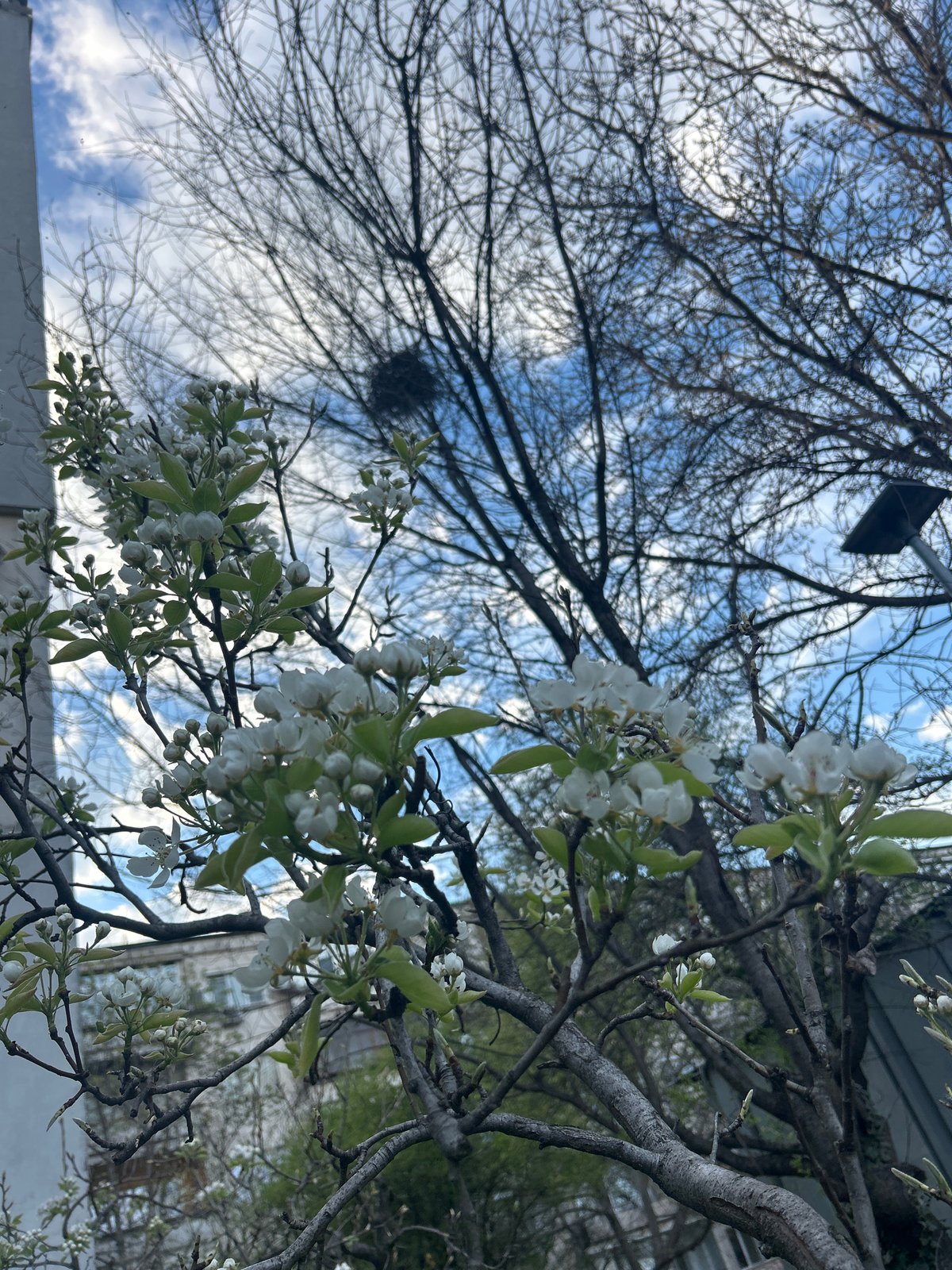 Spring scenes and daily life moments captured in Plovdiv