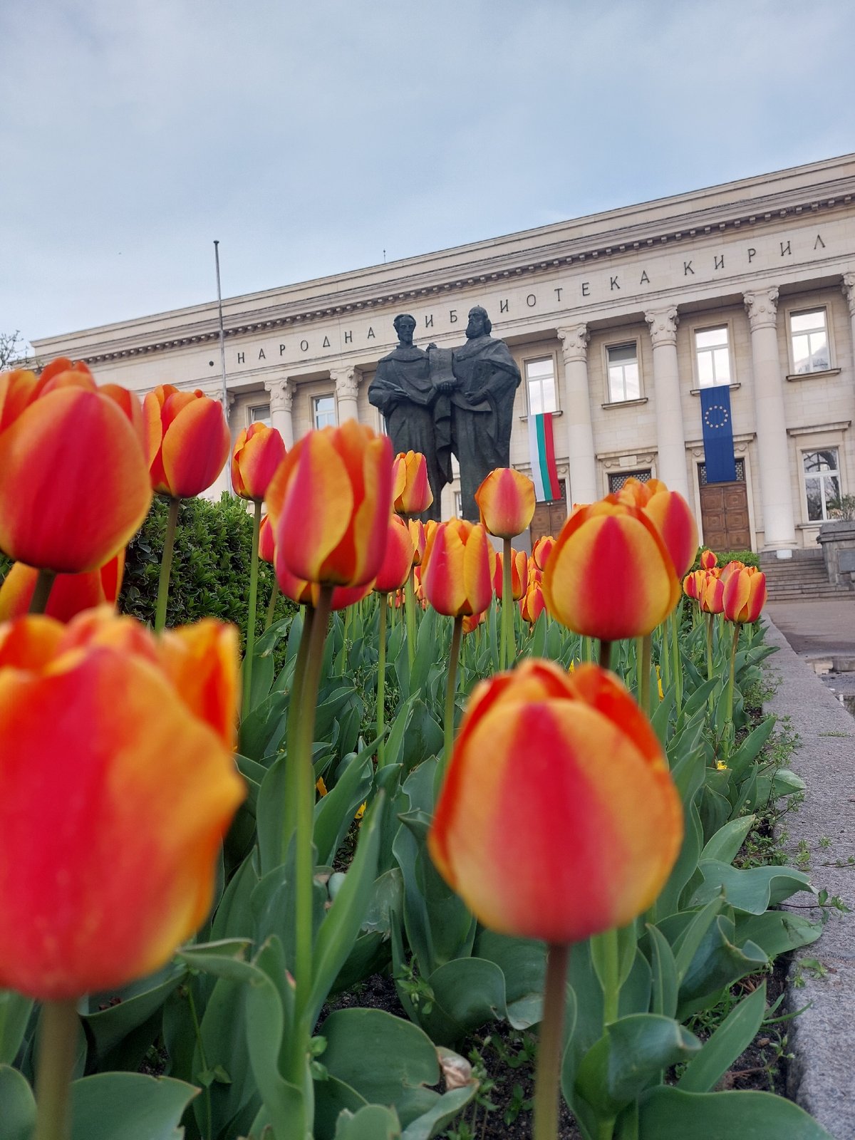Spring tulips bloom around bronze statue in public square