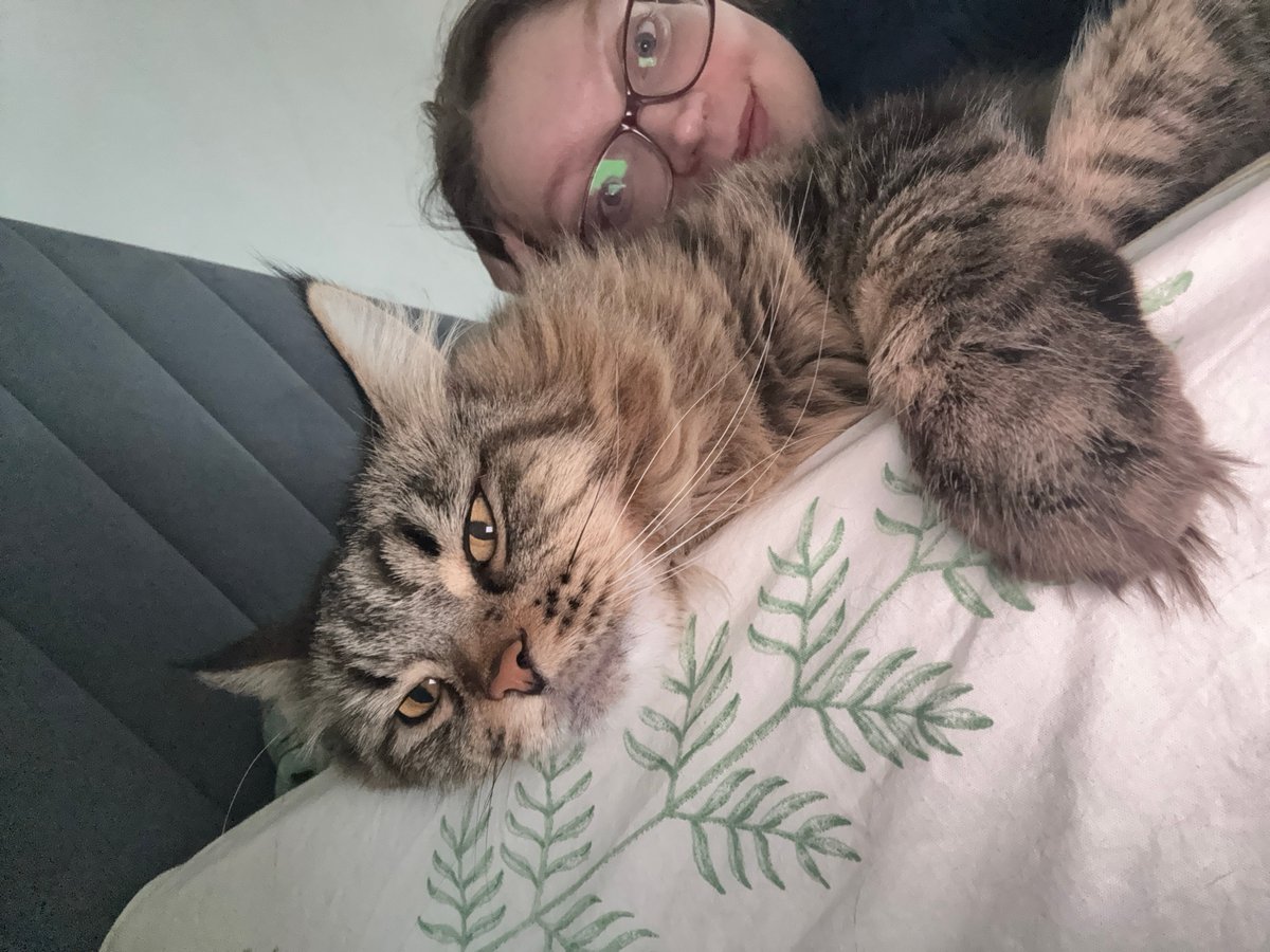Indoor moments captured in Izhevsk: cat selfie, TV viewing