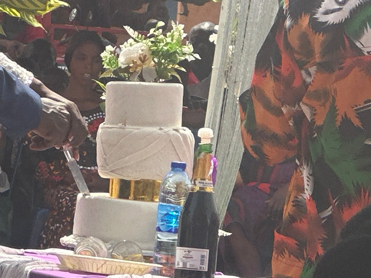 Outdoor wedding celebration documented with cake cutting ceremony
