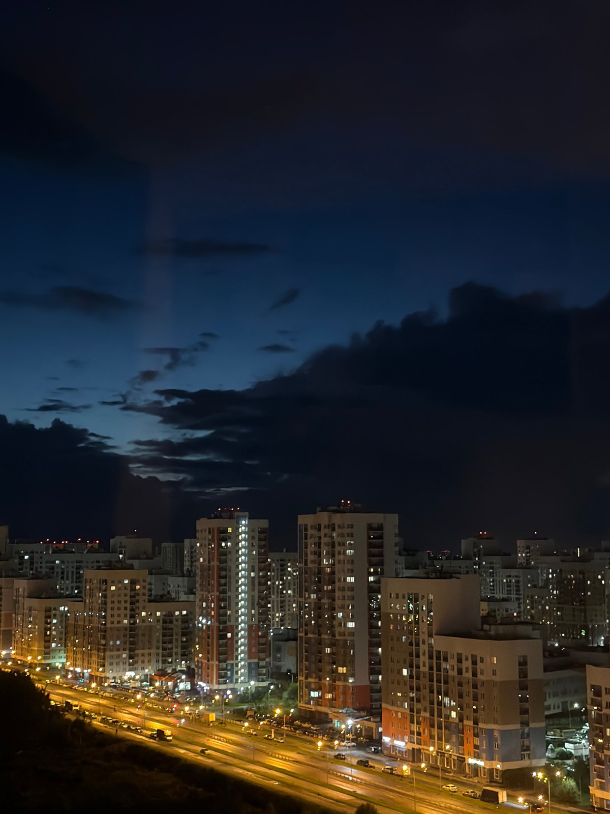 Yekaterinburg apartment towers and a Cornish Rex cat at dusk