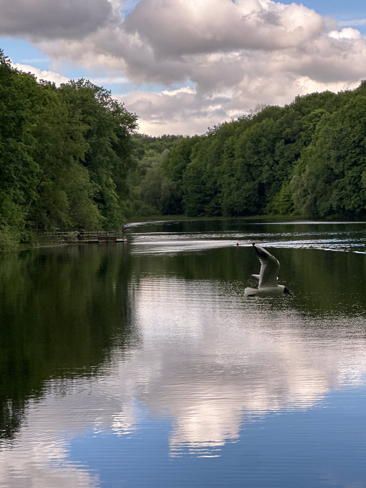 Morning lakeside moments captured in Nizhny Novgorod