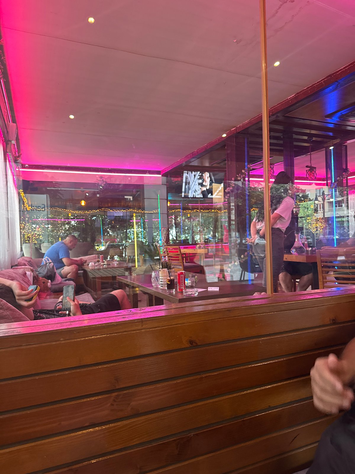 Evening cafe visits and pet portraits documented in Blagoevgrad
