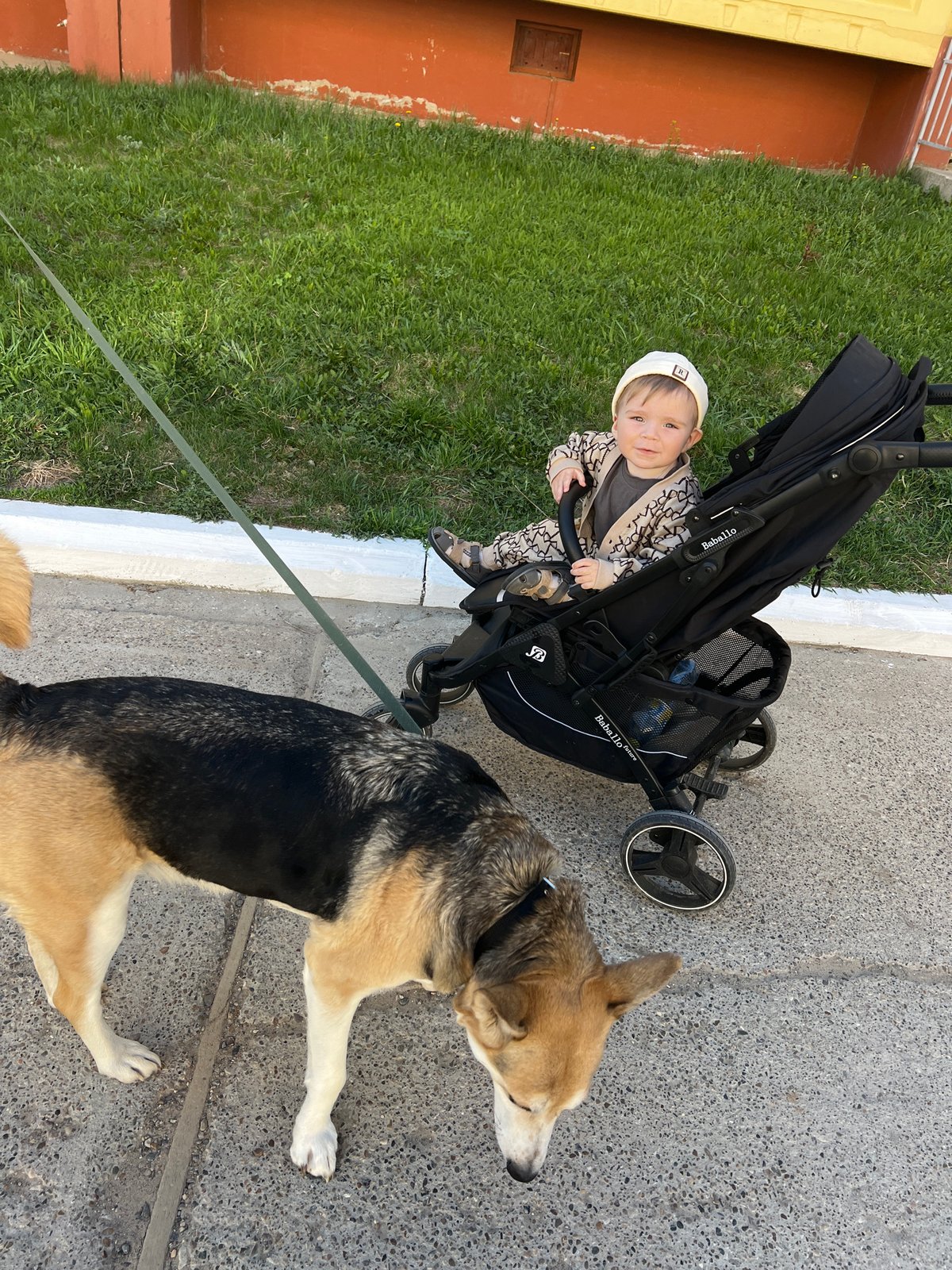 Family enjoys sunny stroll with baby and dog in Noviy