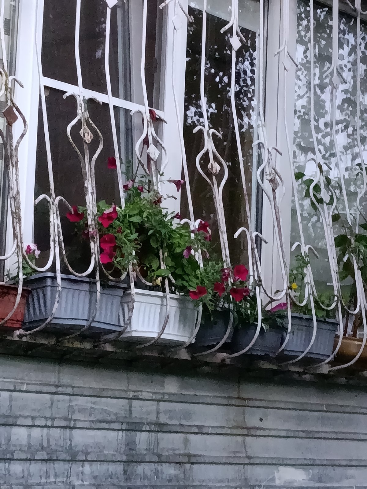 Residential greenery and street scenes from Stavropol, Russia