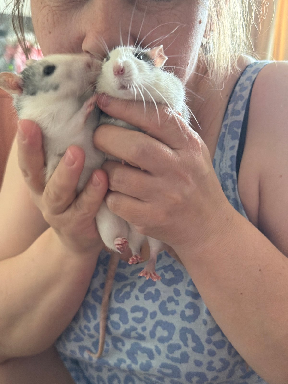 Woman documents morning with pets and shopping in Chaikovsky