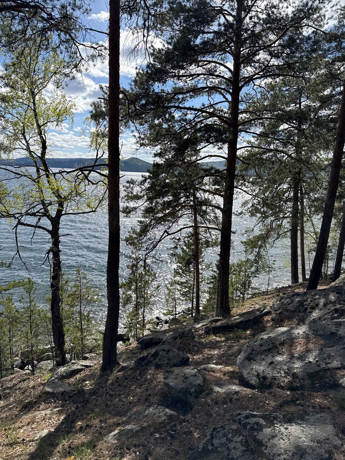 Lakeside forest views captured at Zolotoi Plyazh, Russia