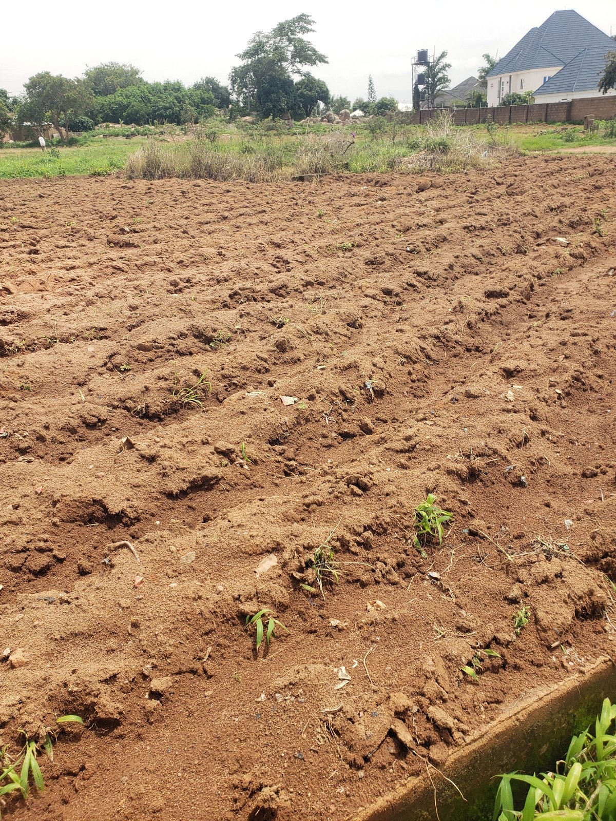 Everyday scenes documented across Jos Plateau region, Nigeria
