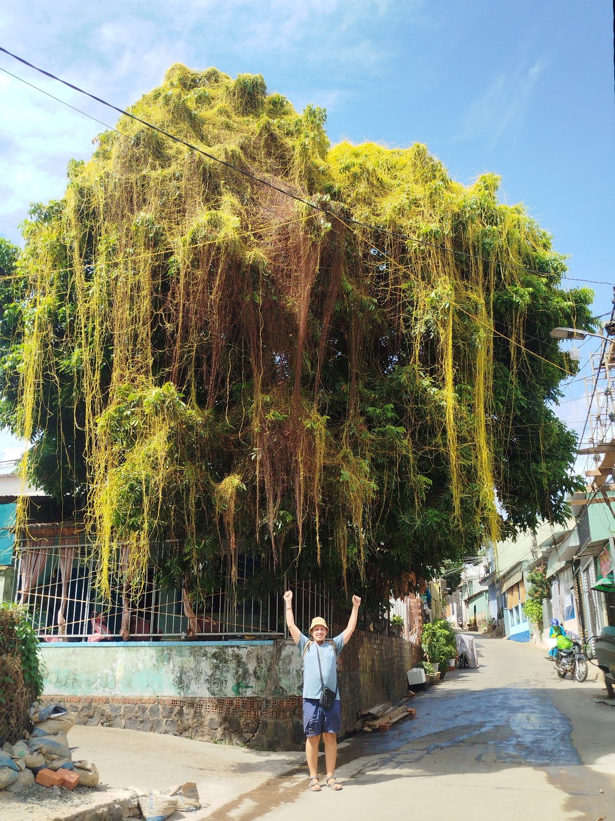 Morning street life documented across Vietnamese wards
