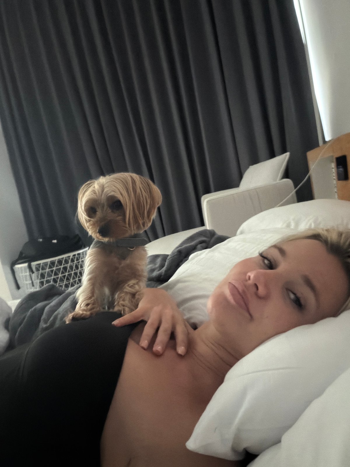 Morning bed time with a Yorkshire Terrier in Thailand