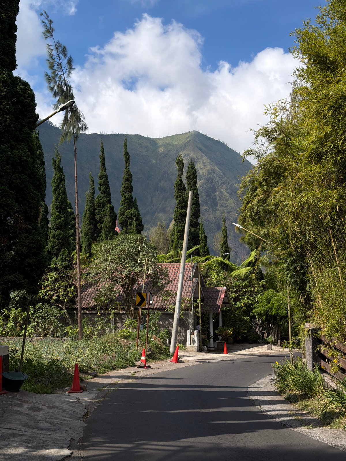 Mountain roads and forest views from a quiet Indonesian village
