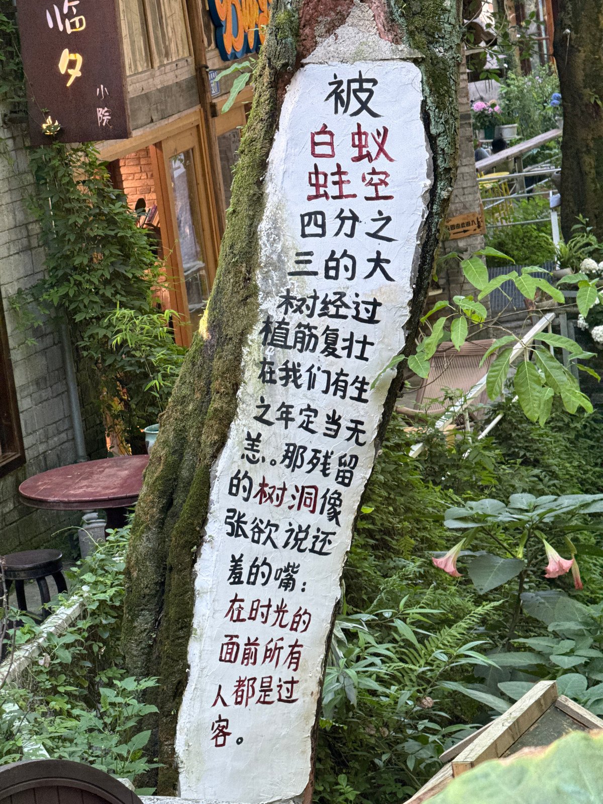 Tourist activity captured across scenic Beibei locations during morning hours