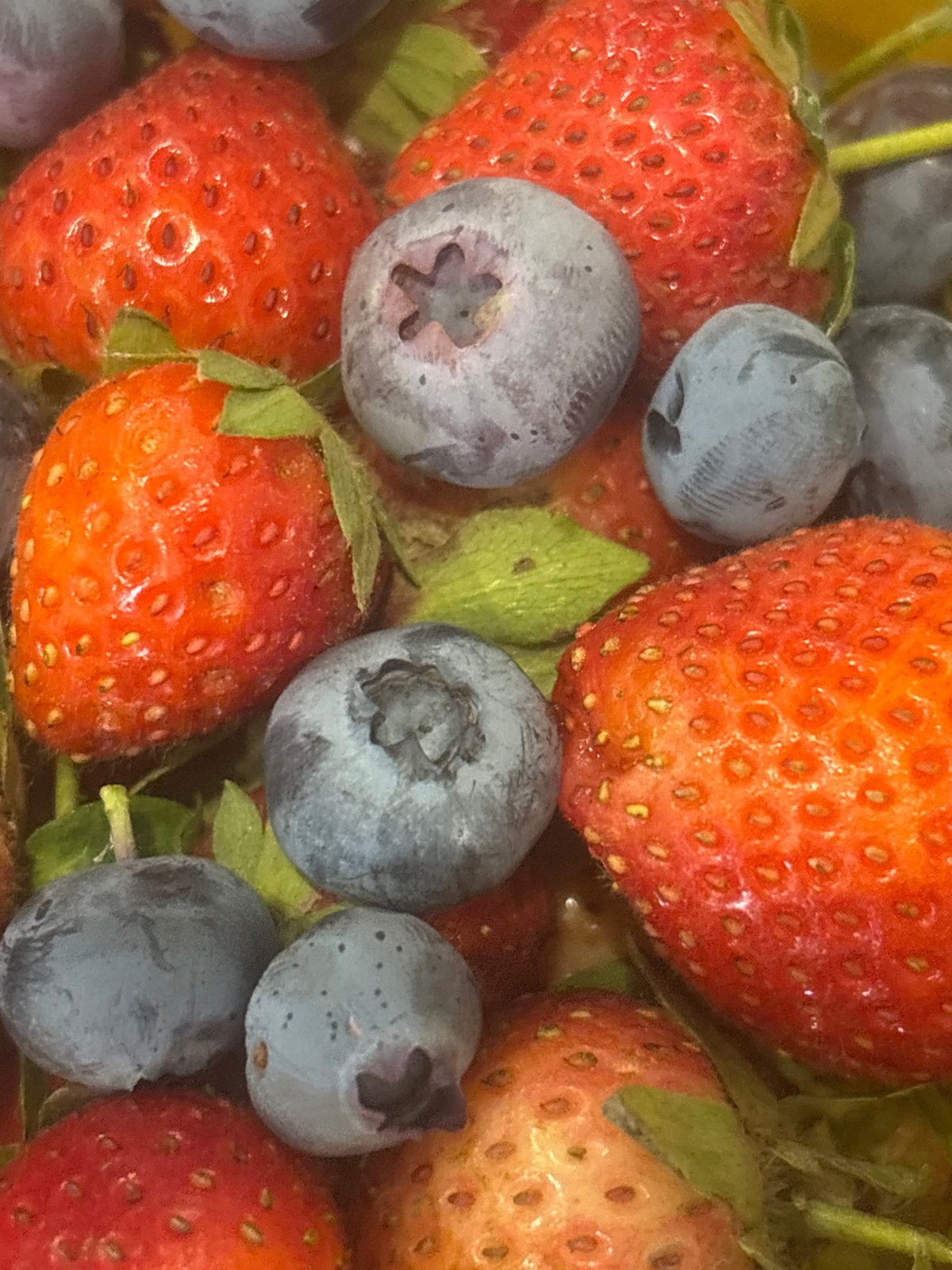 A Burgas garden morning: berries, blooms, birds, and backyard life