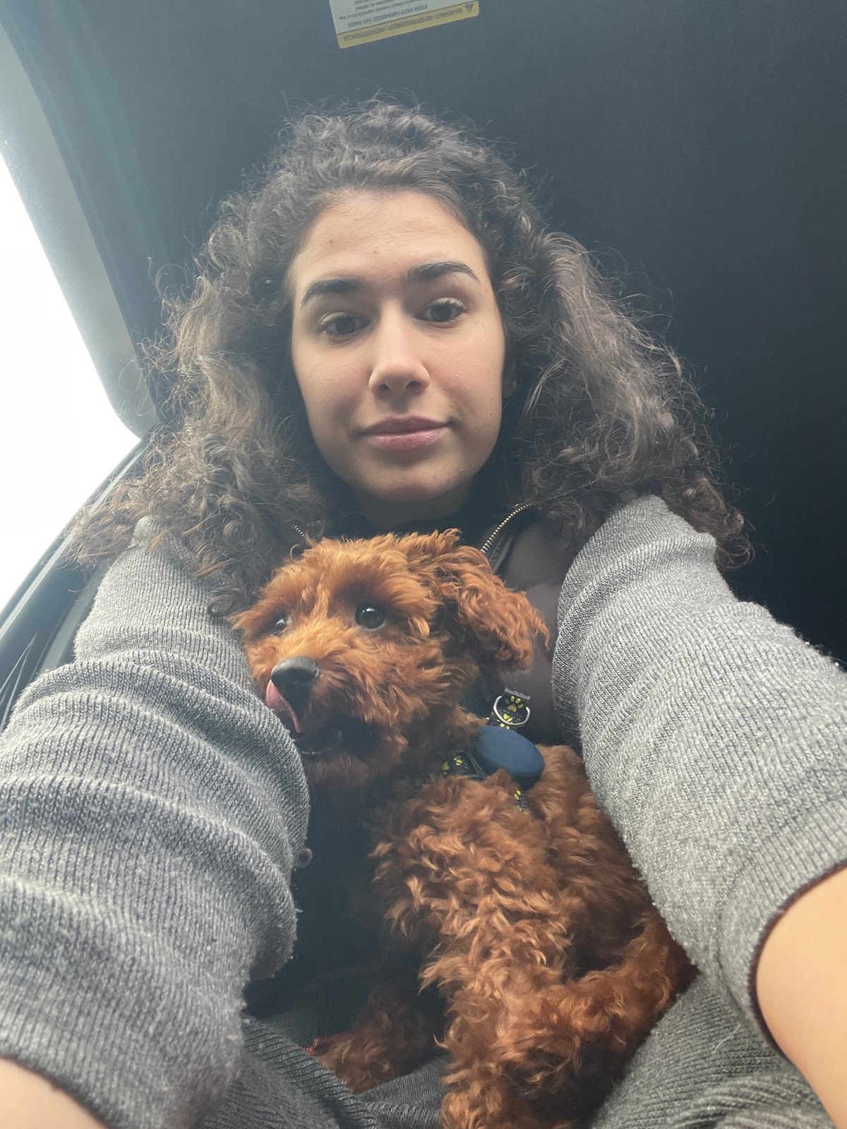 Woman photographed with poodle in car in Sofia