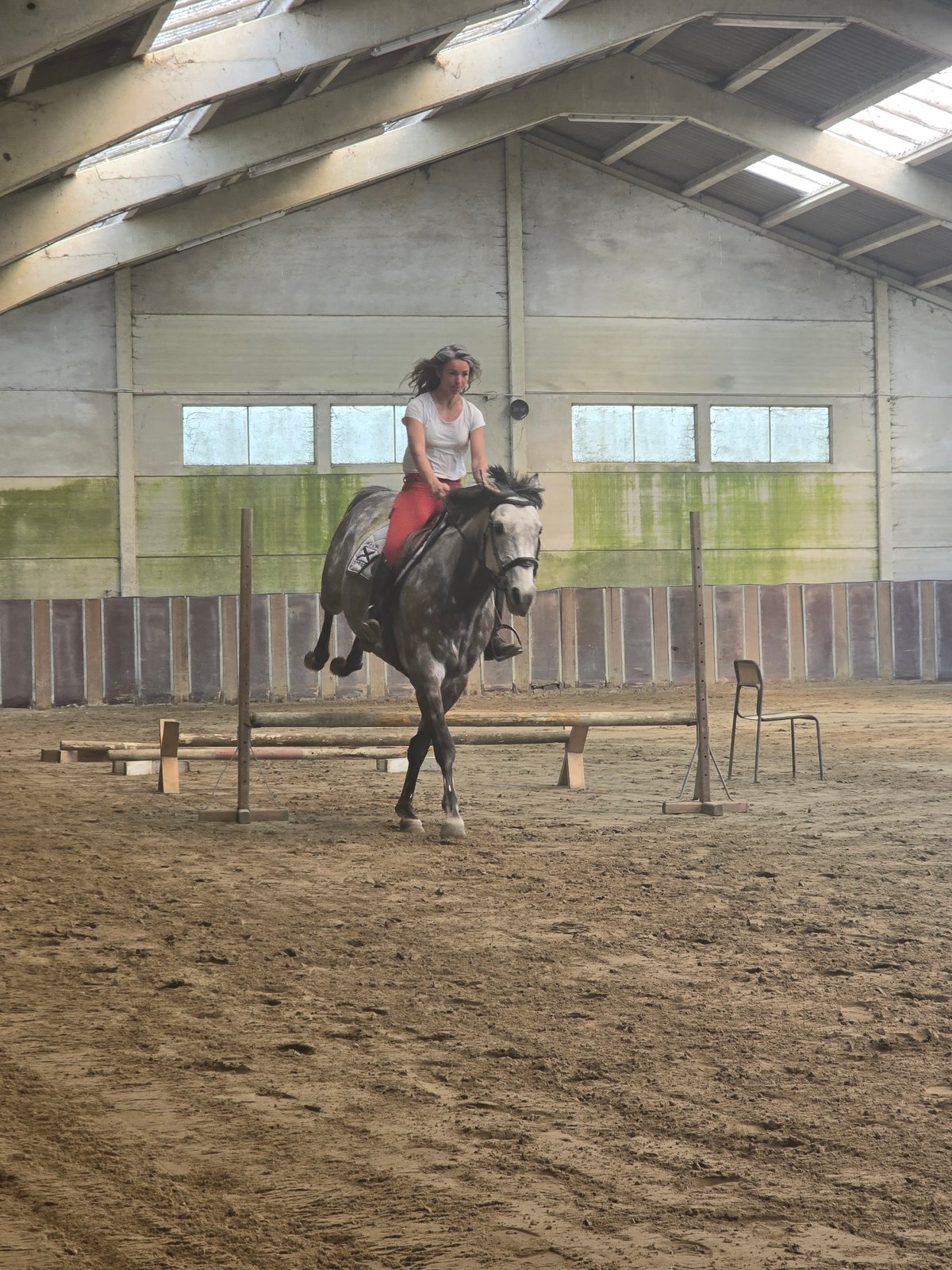 Woman rides horse at indoor equestrian facility in Belgium