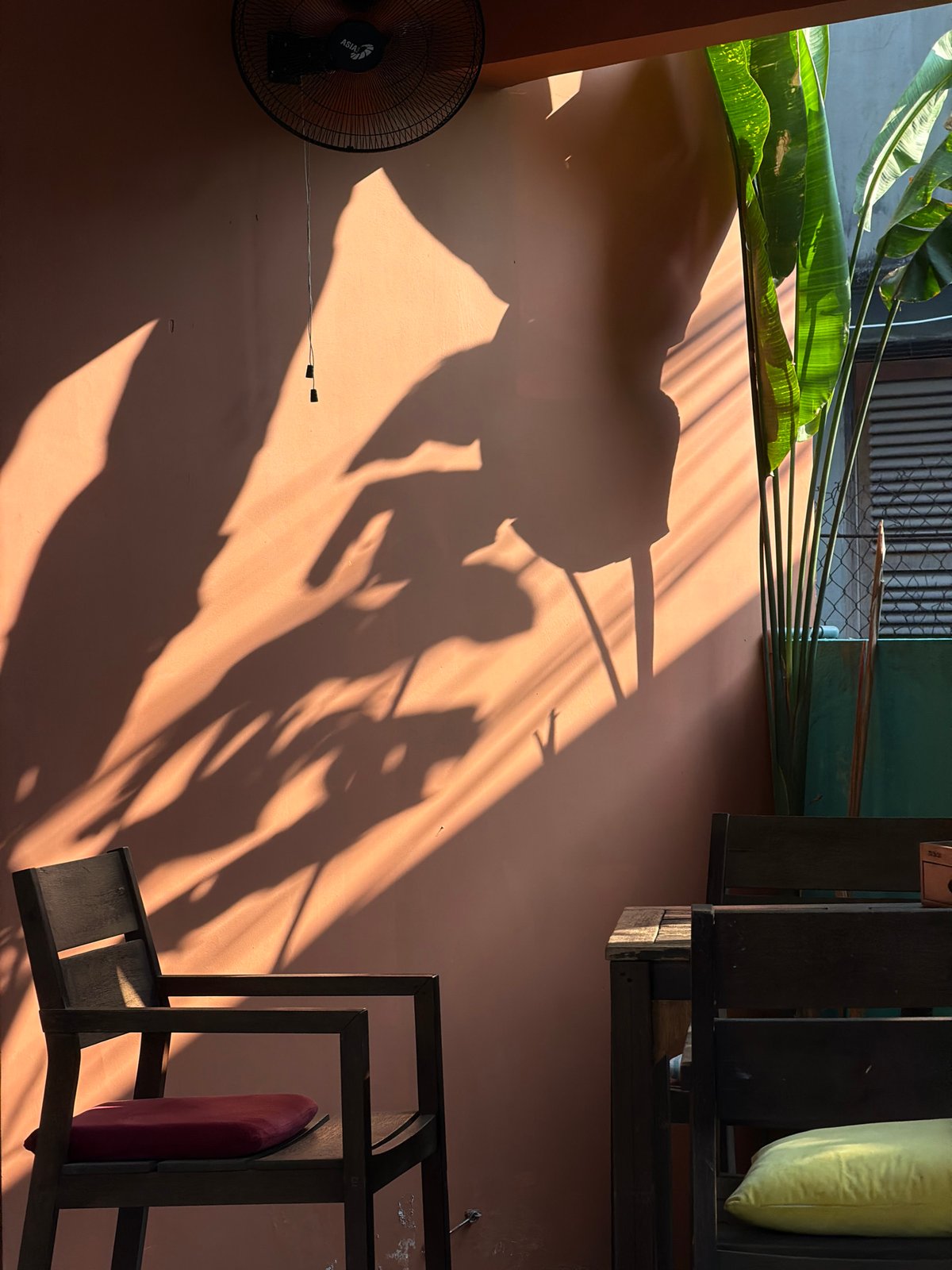 Shadow captured on peachy wall in Đà Nẵng