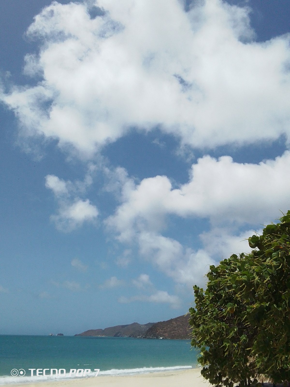 Tropical beach scenes documented in Pedro González, Venezuela