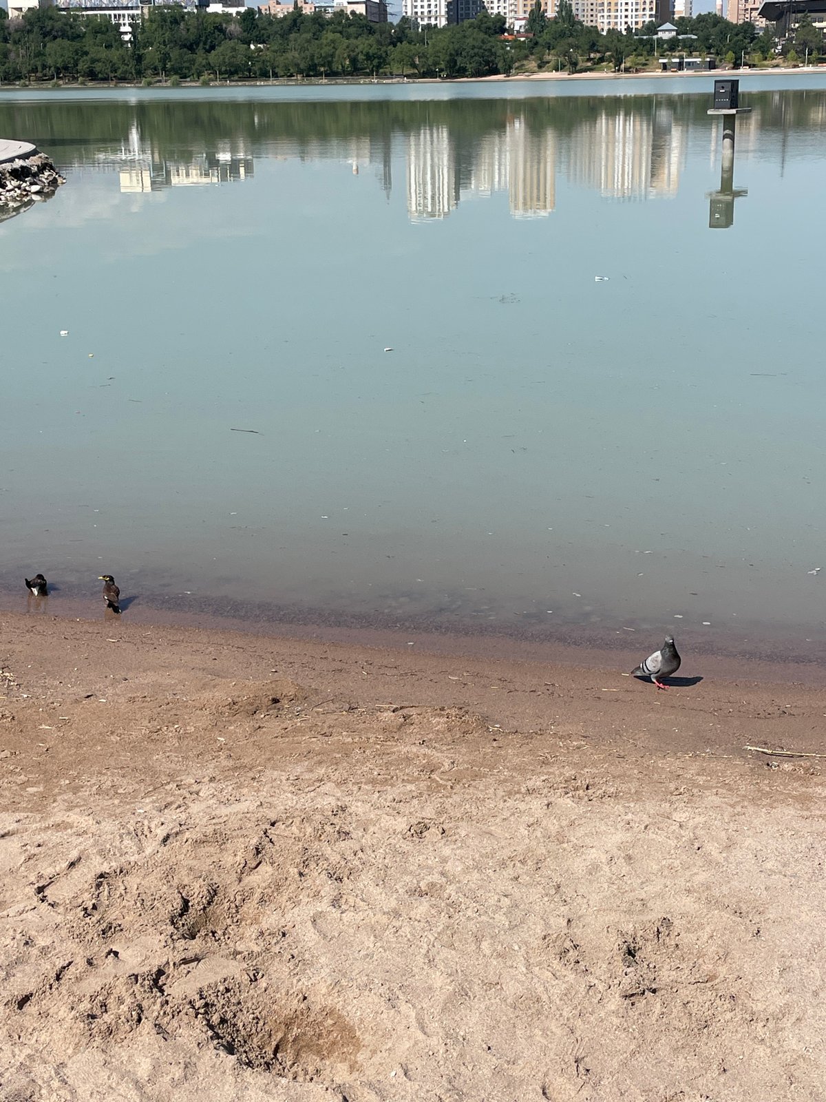 Almaty lakefront park on a busy summer morning
