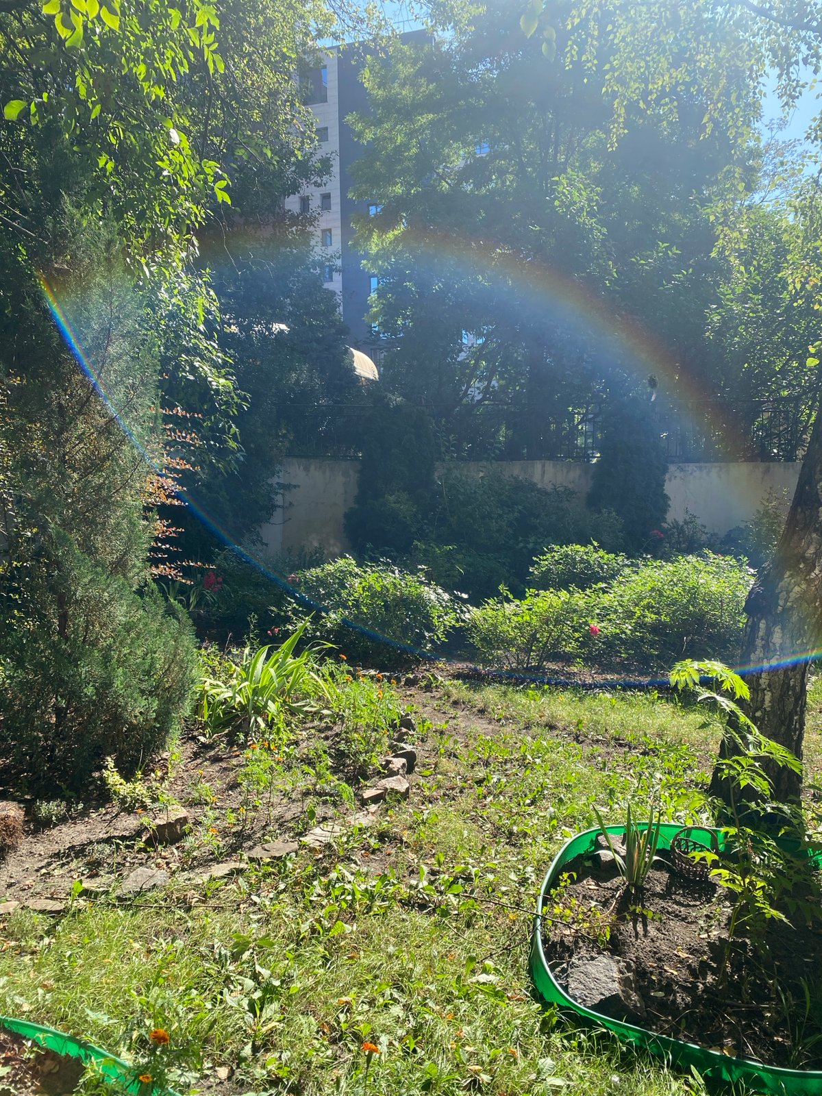Sunny morning city scenes with a backyard rainbow