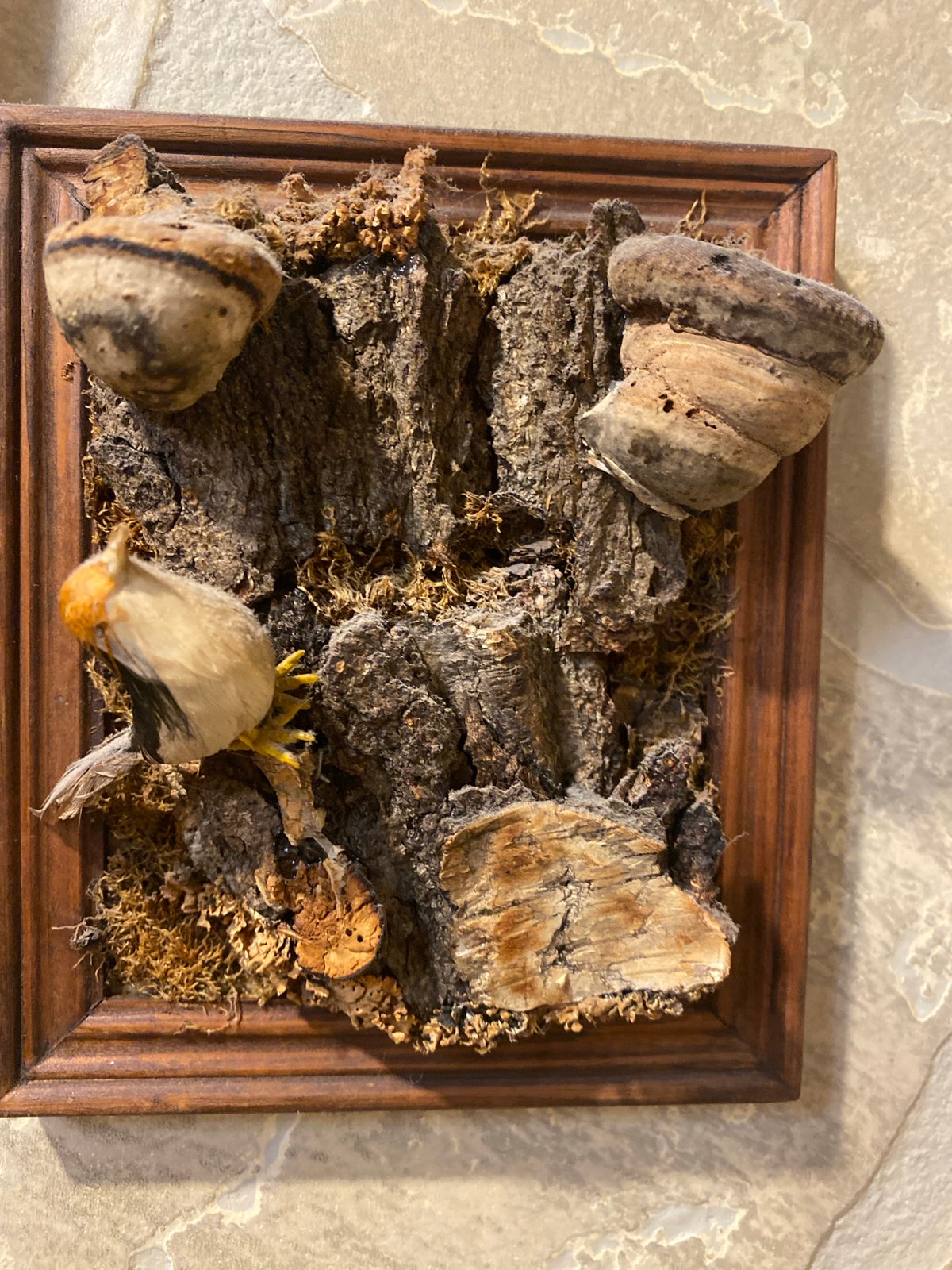 Handmade ornaments, a nature diorama, and an elephant souvenir plate