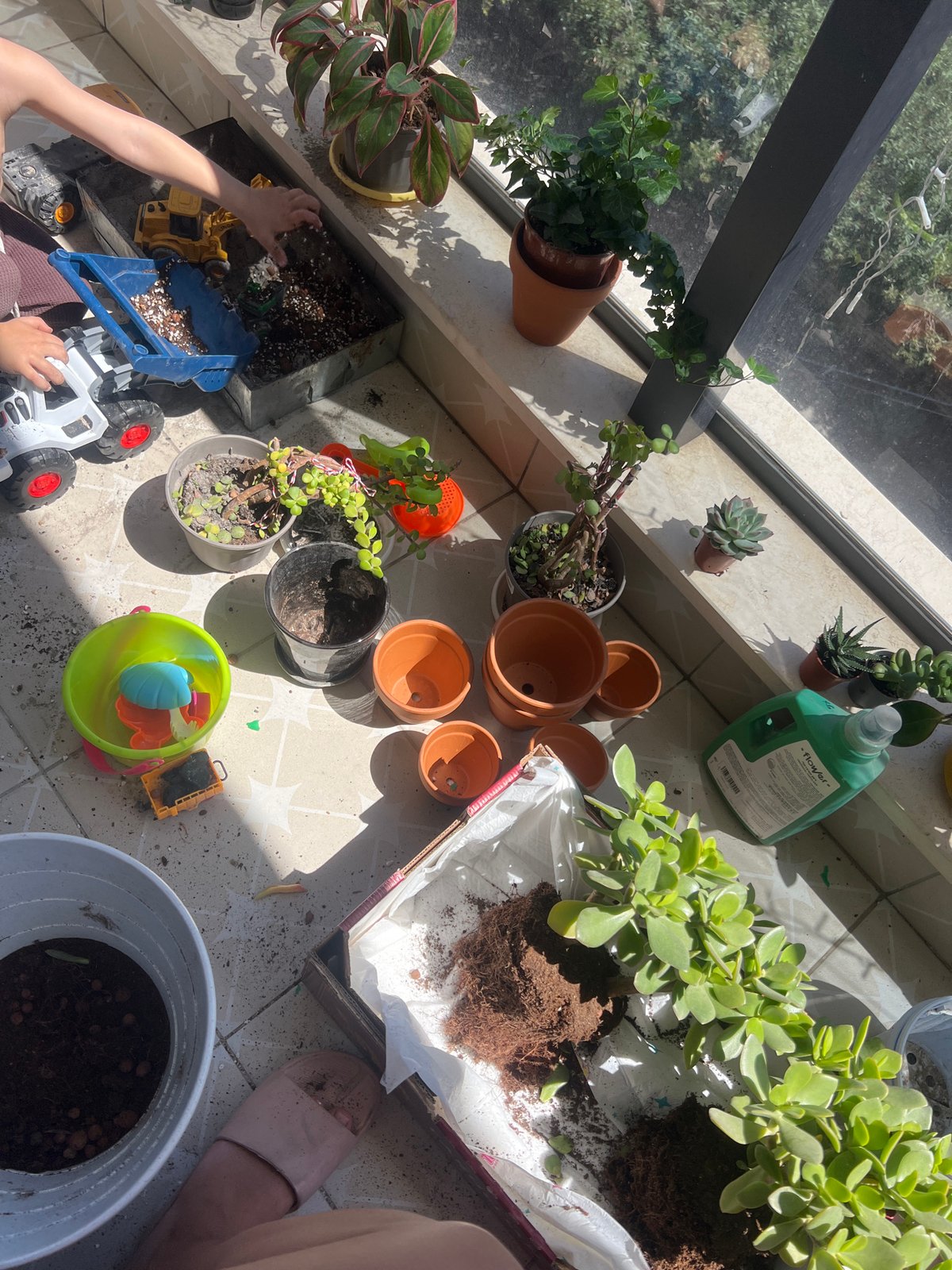Child plays with toys and plants on Kiryat Bialik balcony