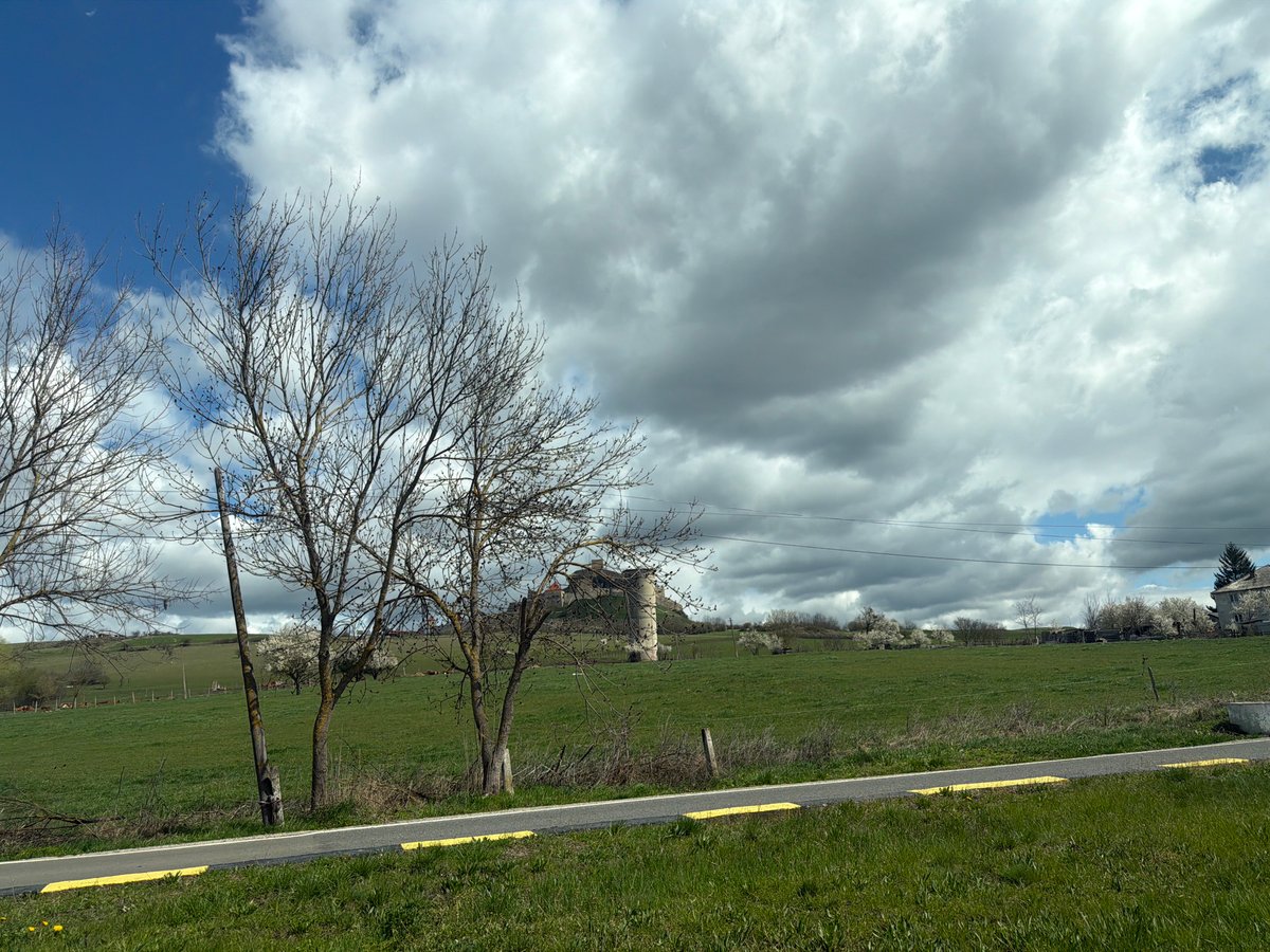 Rural meadow scene documented in Rupea, Romania