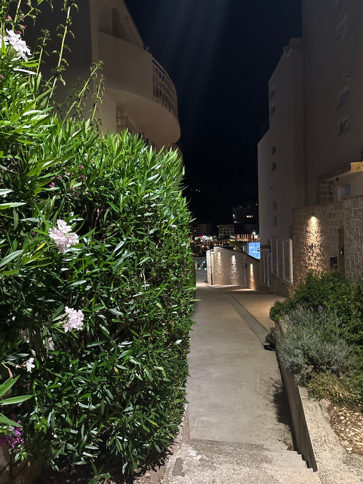 Quiet night along the Montenegrin Riviera coast