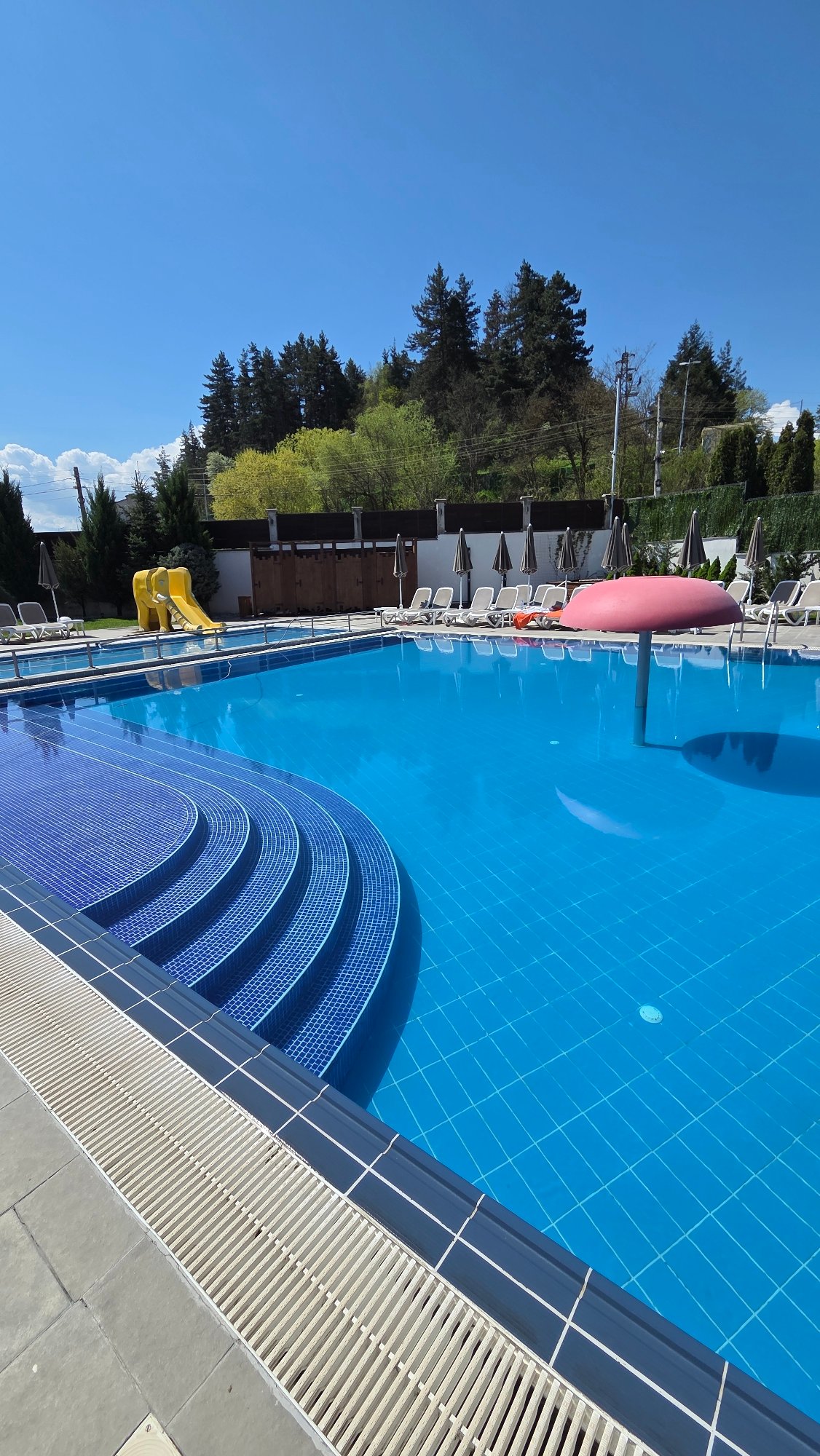 Backyard scenes documented: pool, patio, robotic mower, rock formations