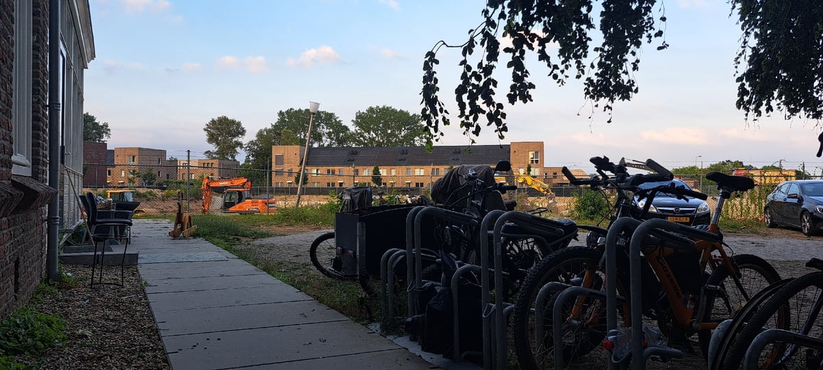 Construction site and weeping tree in Zevenaar, Netherlands