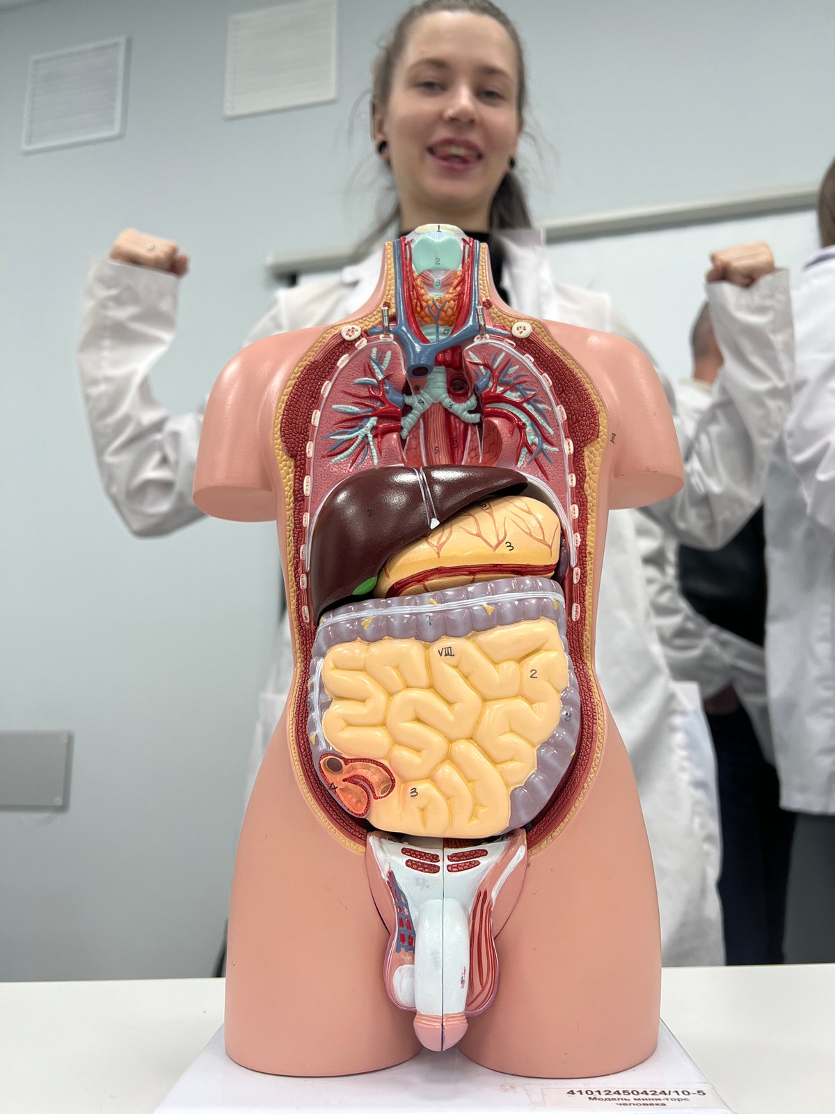Medical demonstration with anatomical model witnessed in Moscow