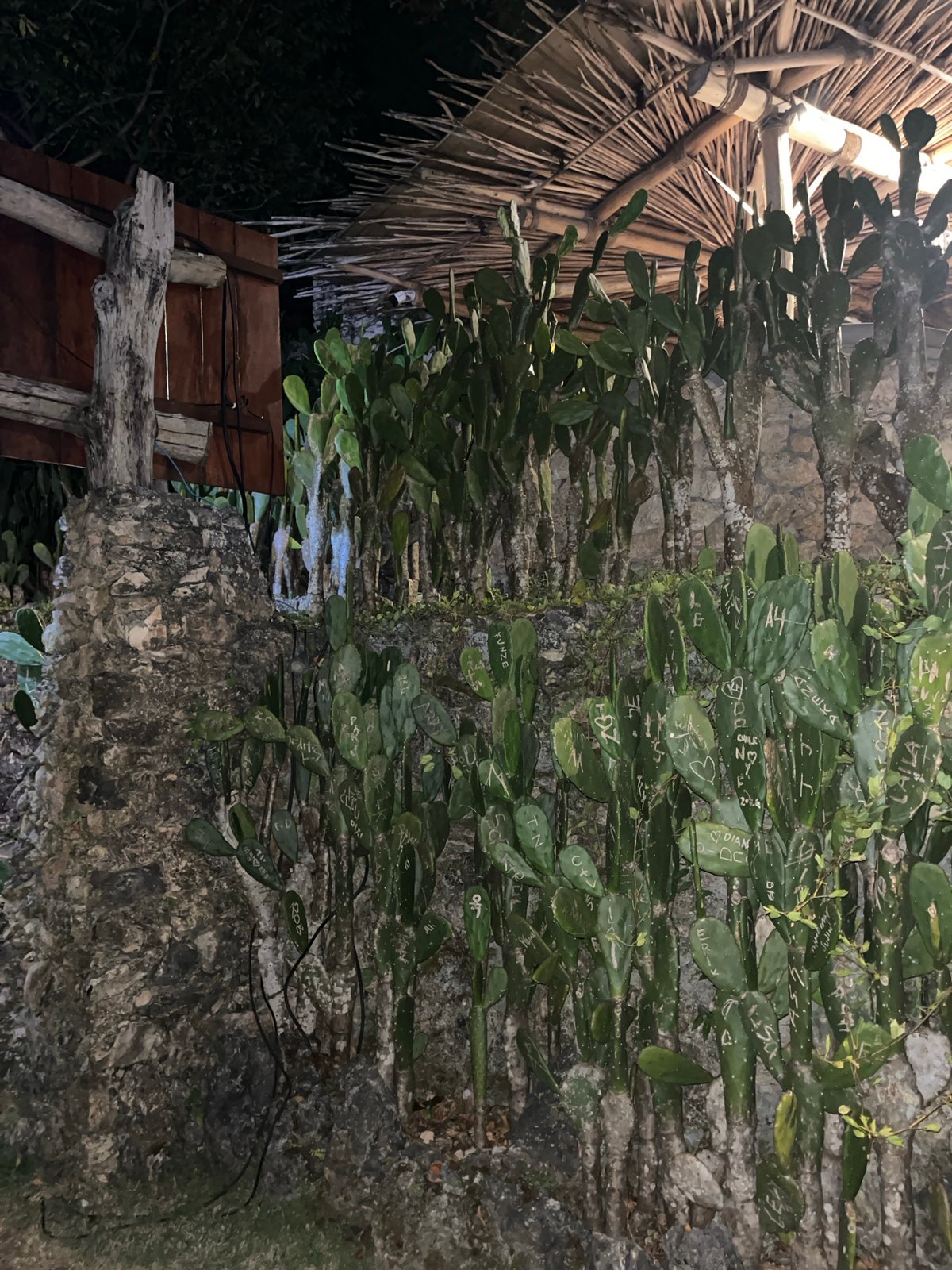 Nighttime documentation of traditional structures and vegetation in Nusa Penida