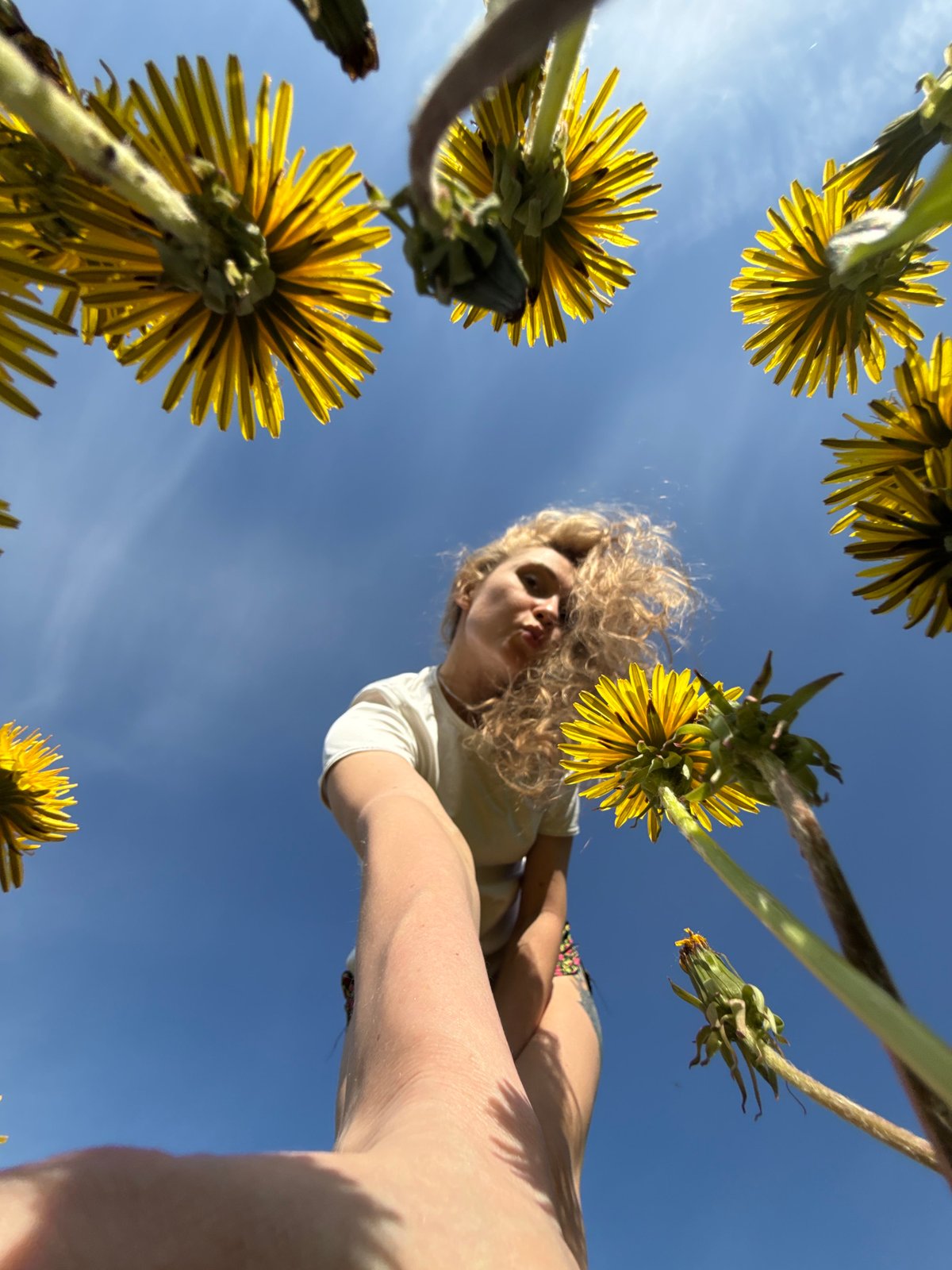 Woman photographs selfies in Russian dandelion field at dawn