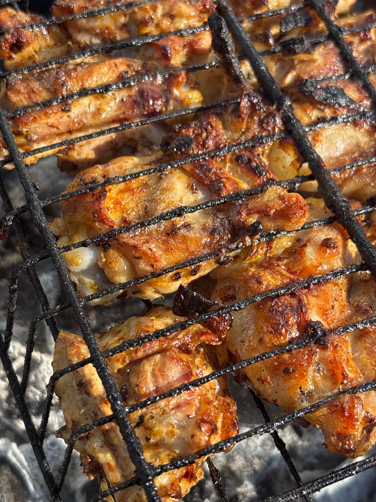 Person documents outdoor grilling session with chicken and firewood