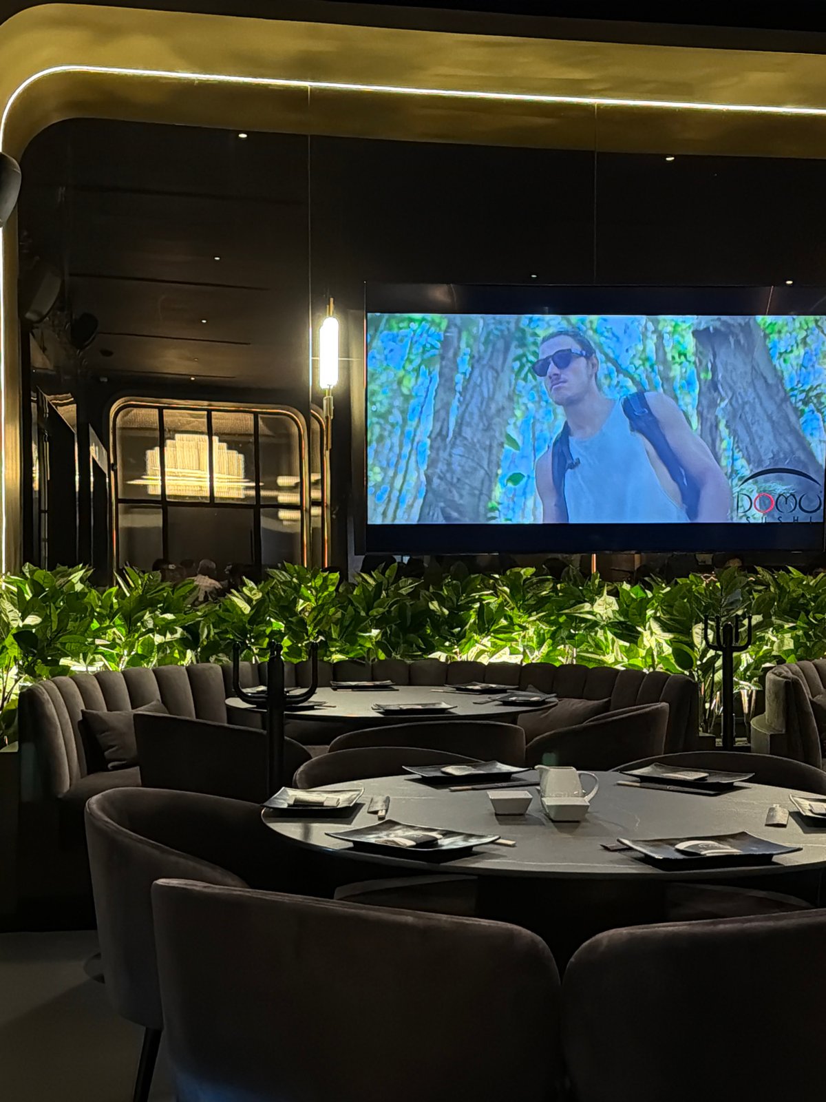 Diner documents visit to upscale Domo Sushi restaurant Mexico