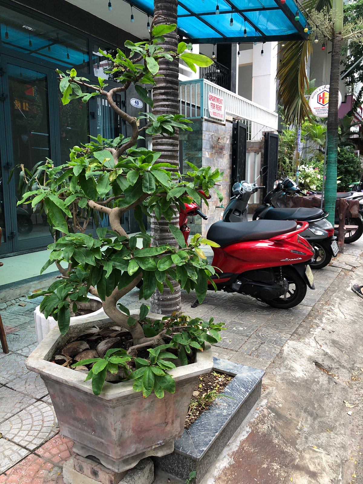 Street-level details from a Da Nang neighborhood on a cloudy morning