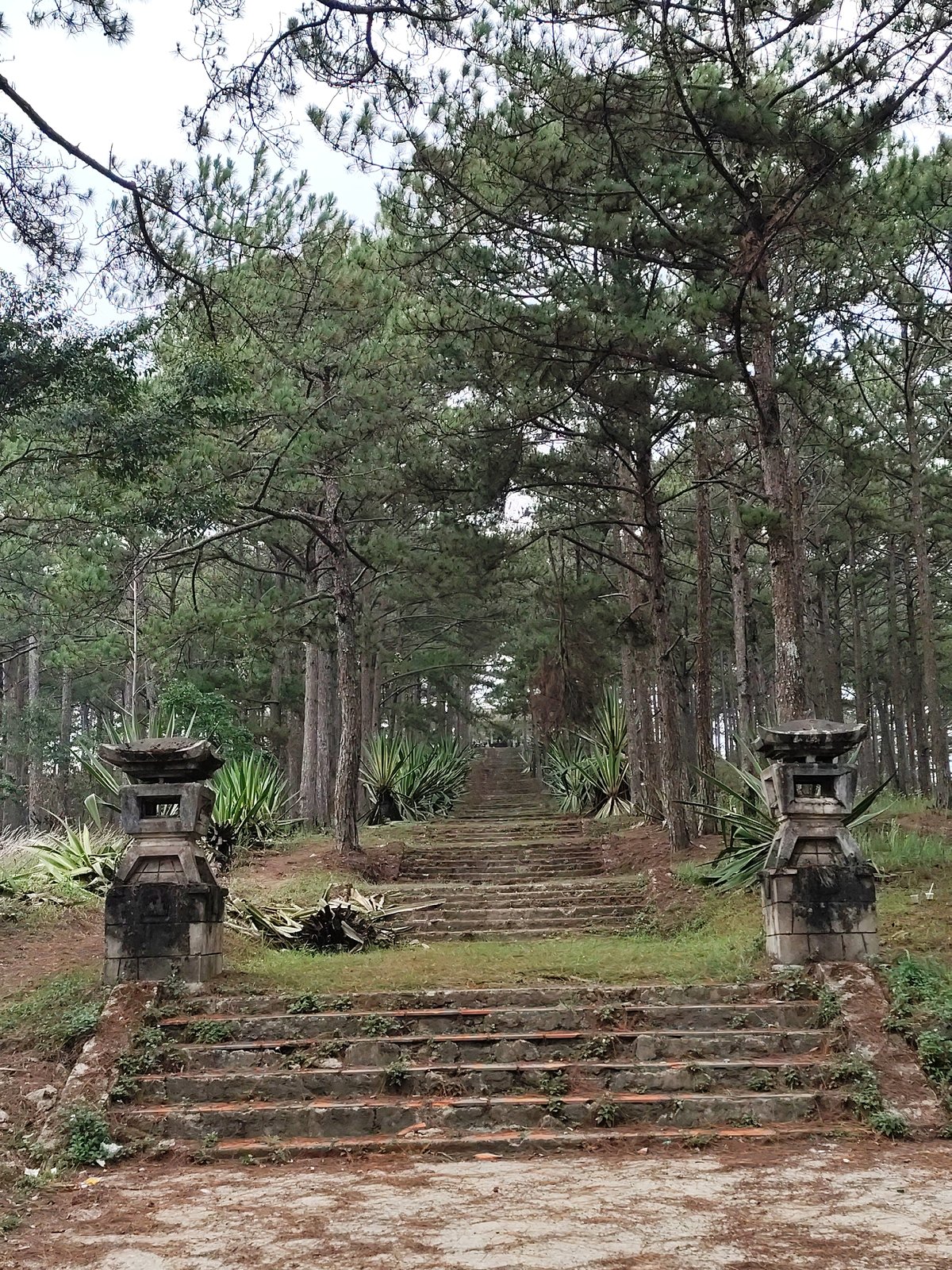 Ancient stone temple complex documented in Đà Lạt forest