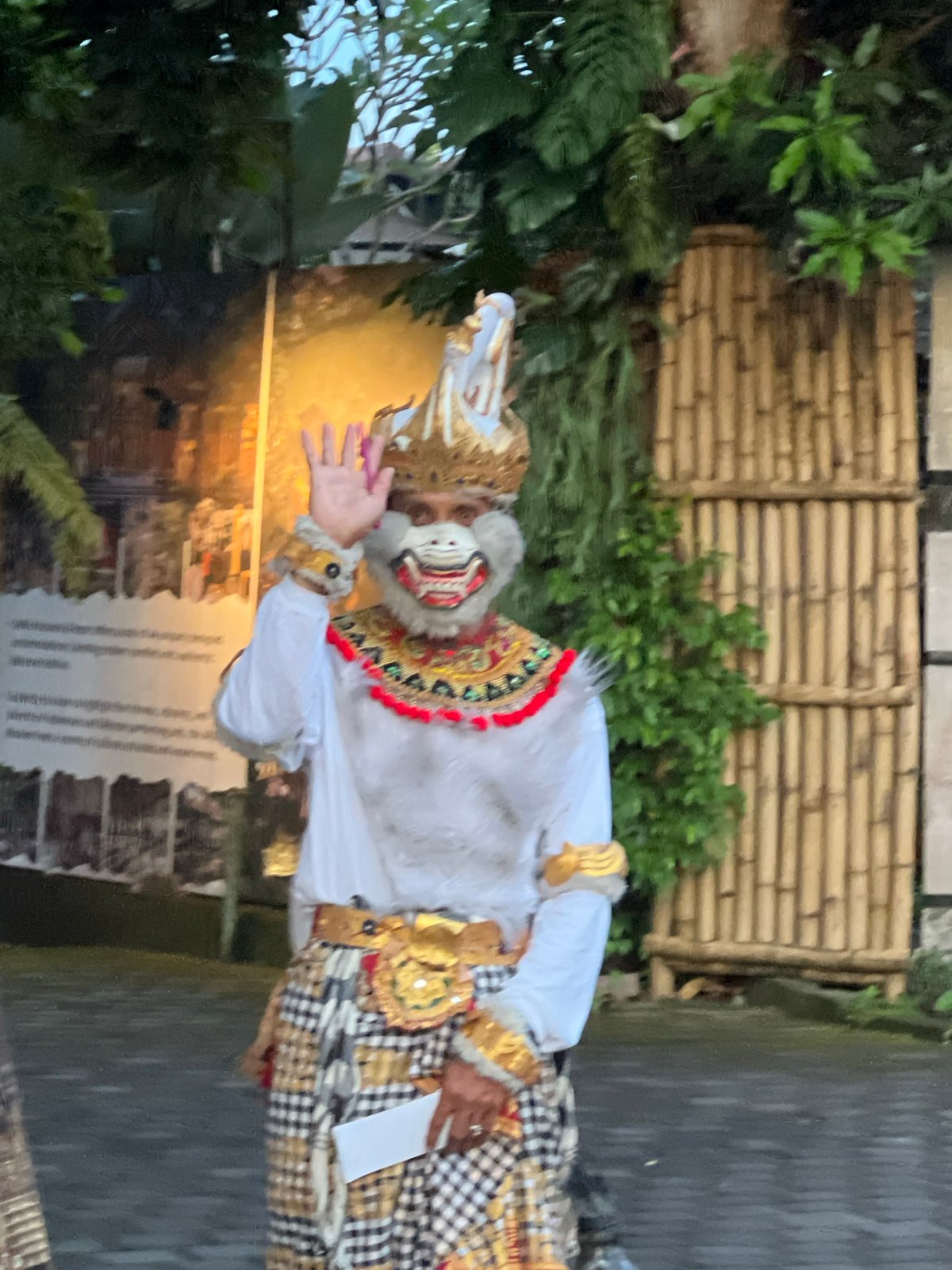 Daily life moments documented across Ubud District, Indonesia