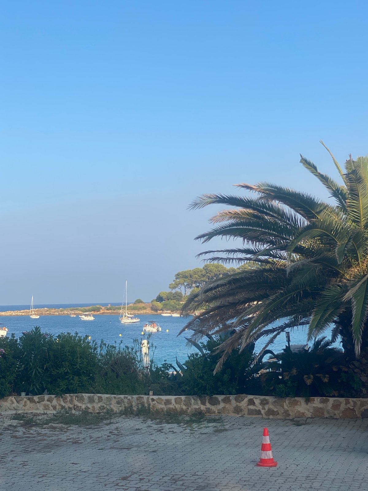 Quiet Cap d'Antibes streets, gated villas, and curious dogs