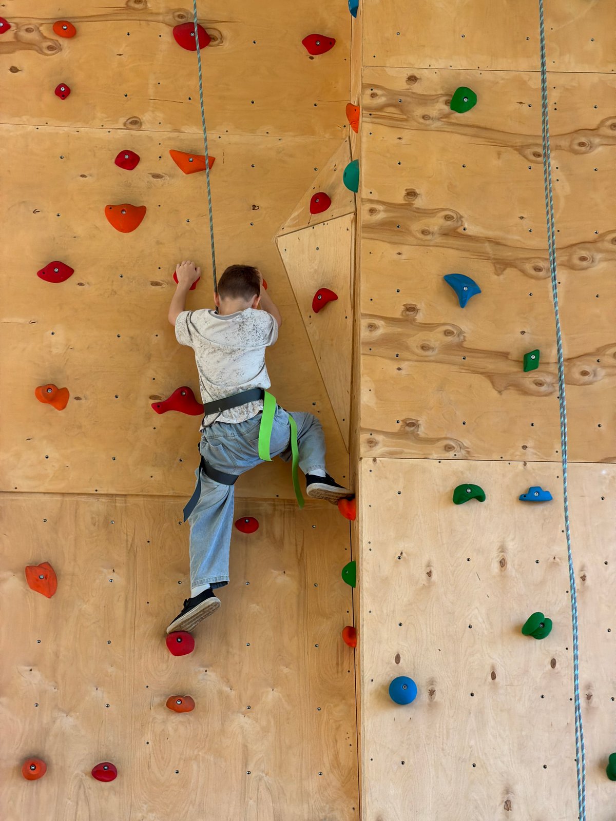 Children enjoy indoor rock climbing session at Izhevsk gymnasium