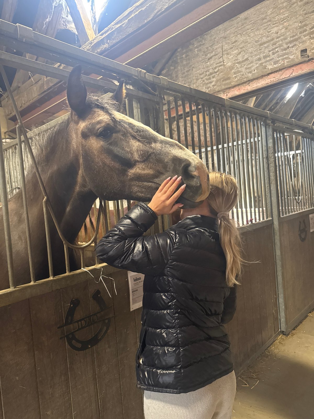 Woman interacts with moose in Belgian barn facility
