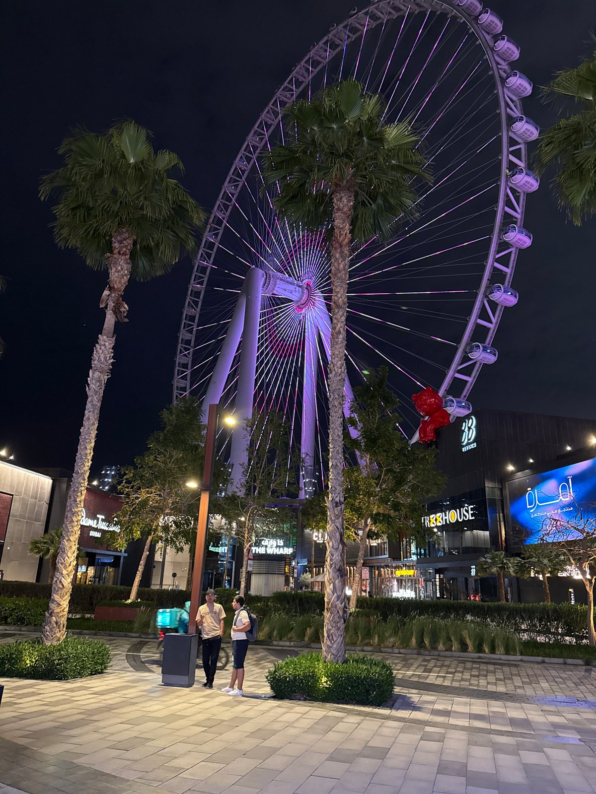 Ain Dubai ferris wheel glows blue and purple at night