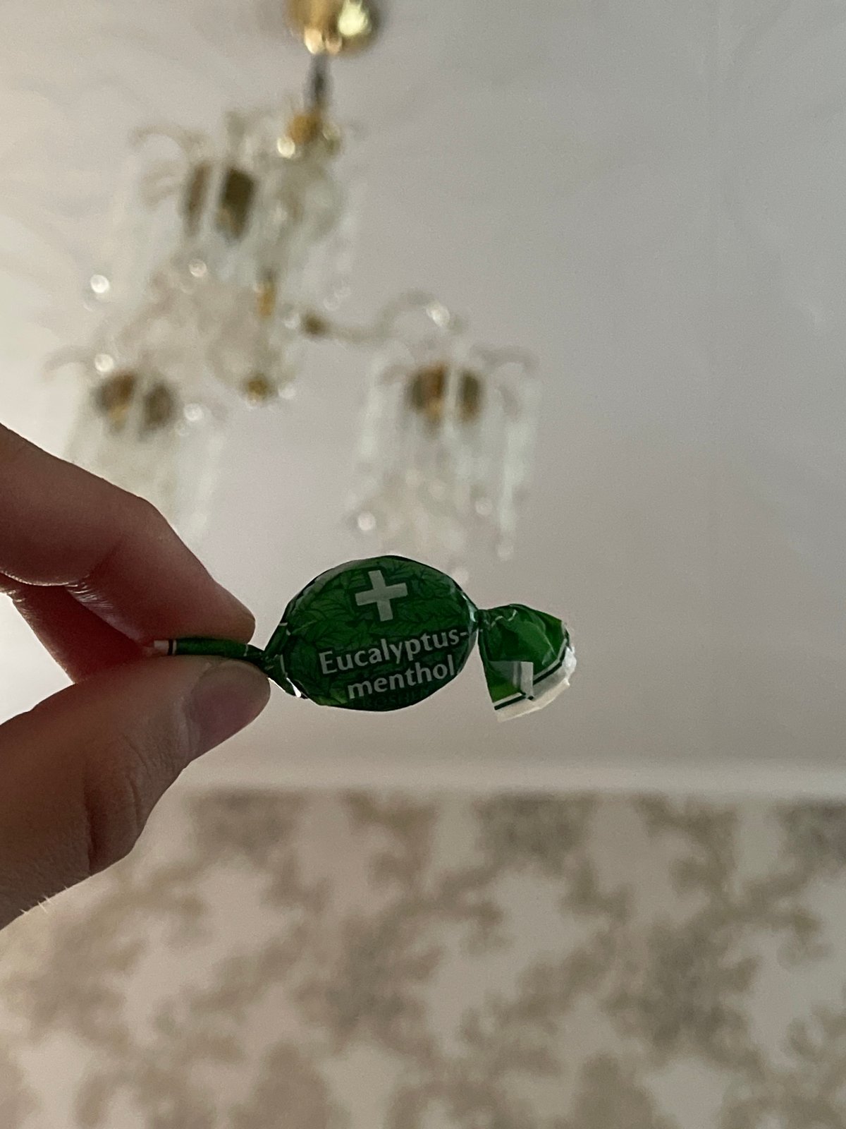Person holds eucalyptus candy indoors in Bender, Moldova