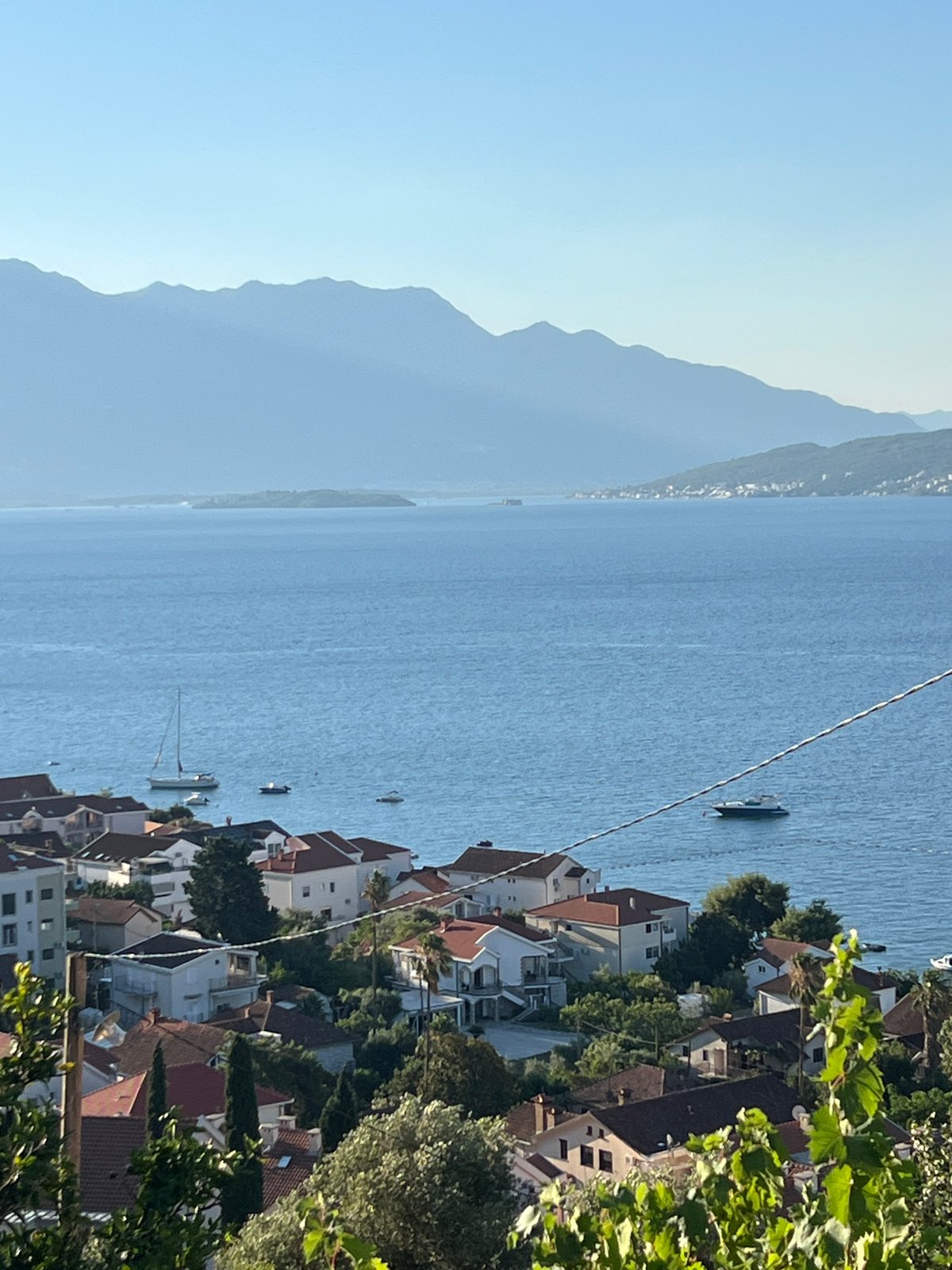 Cats, a dog, and Bay of Kotor views in Đenovići