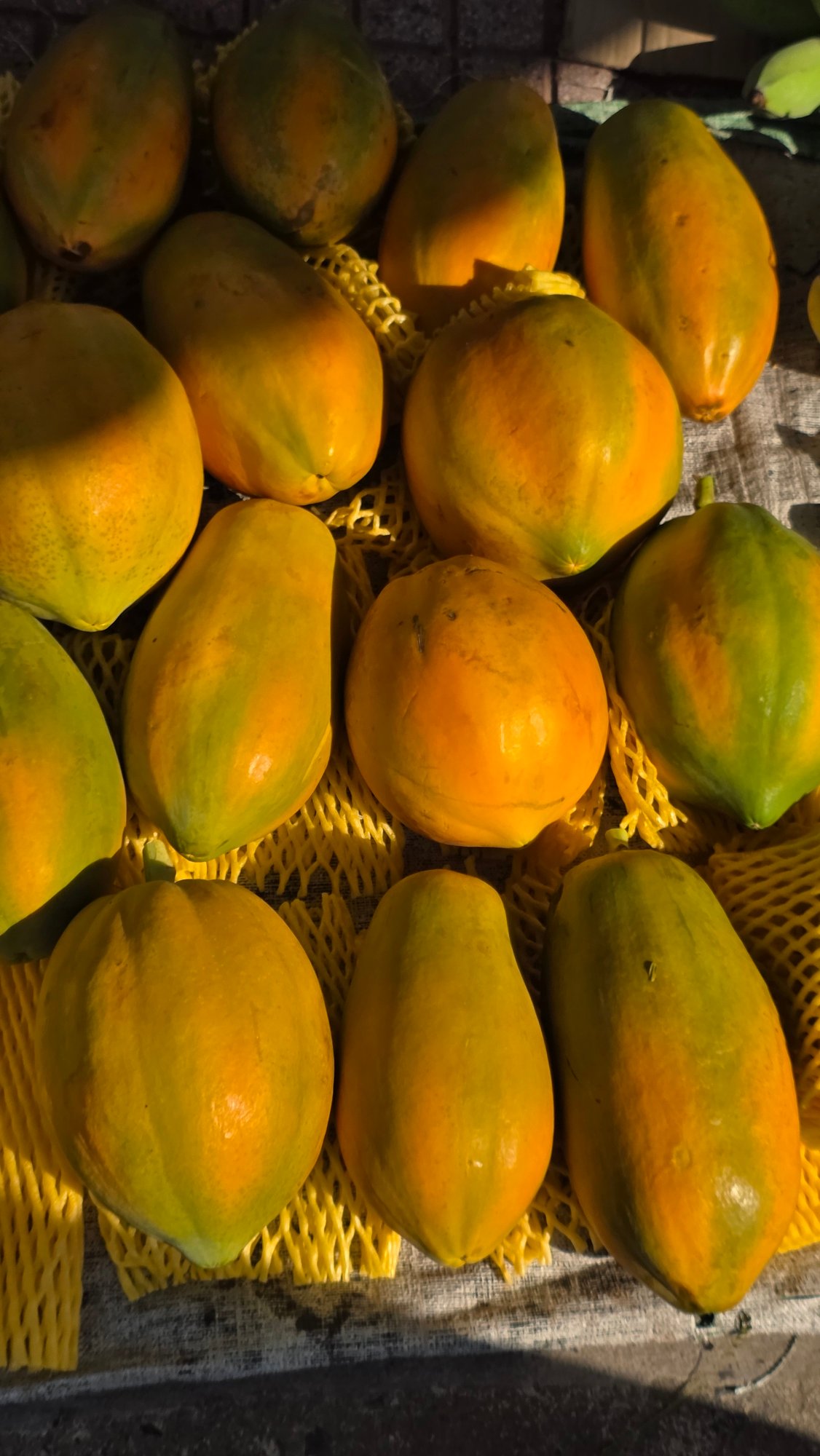 Ripe papayas displayed at market stall in Nha Trang