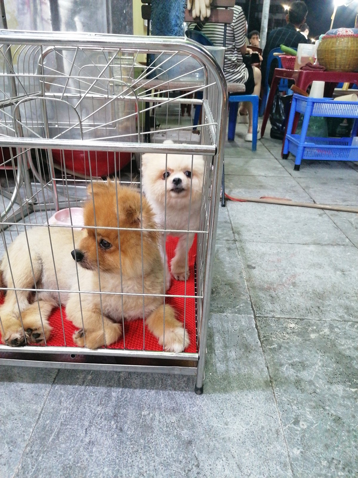 Daytime street life documented in Ha Long's Bai Chay Ward