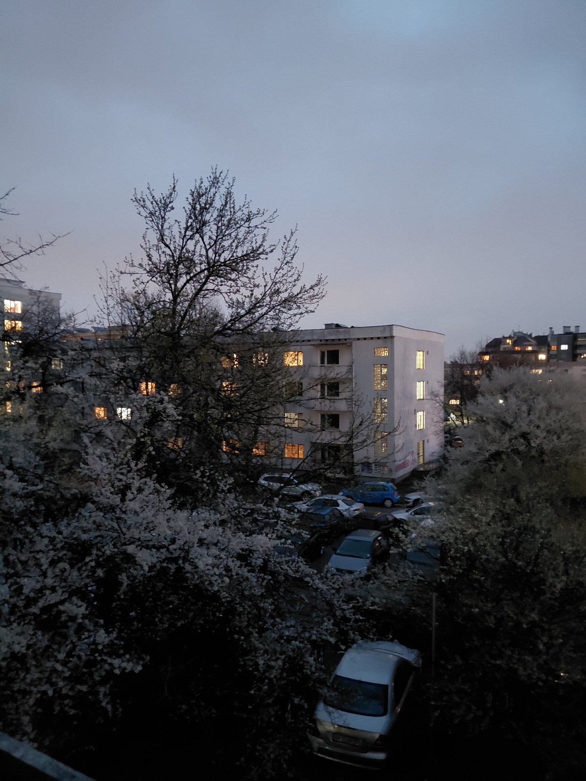 Evening leisure activities documented across Sofia locations