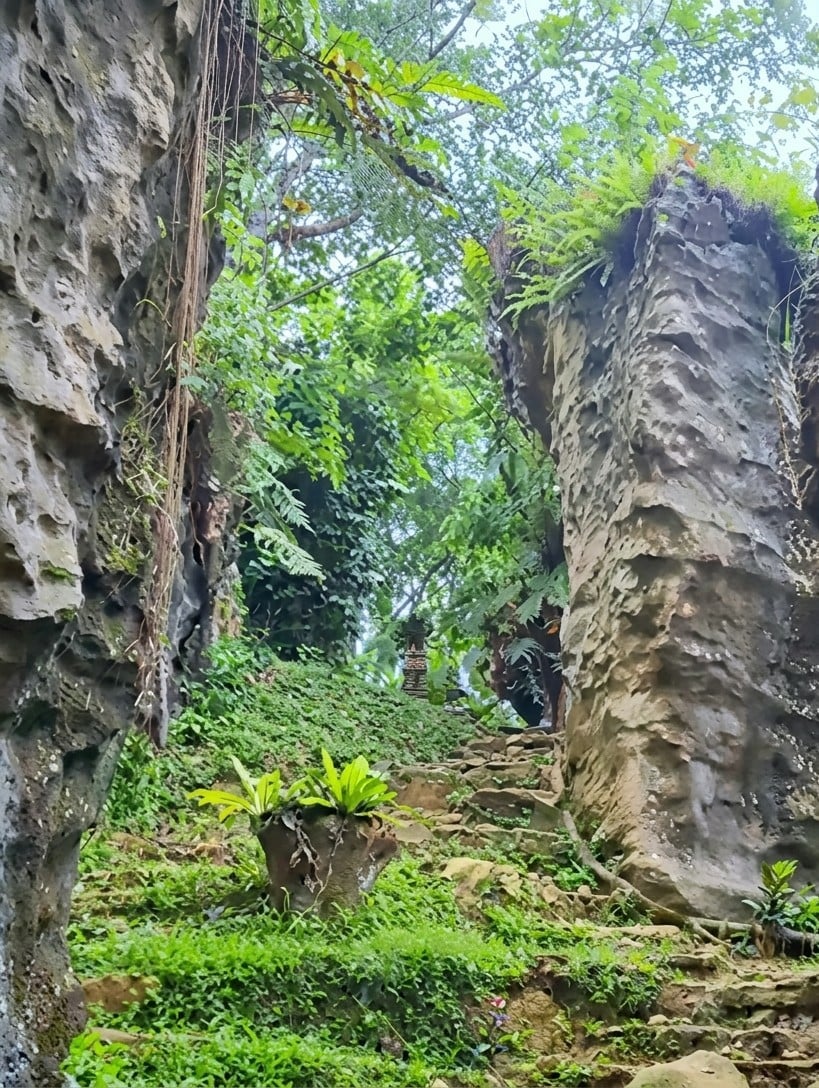 Exploring Bukit Lawang's jungle trails through rainforest and ancient stone paths